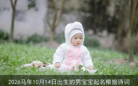 2026马年10月14日出生的男宝宝起名根据诗词