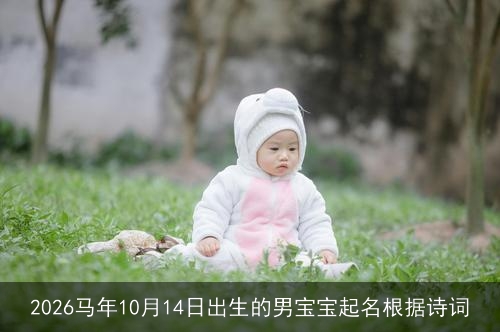 2026马年10月14日出生的男宝宝起名根据诗词