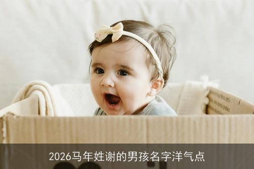 2026马年姓谢的男孩名字洋气点