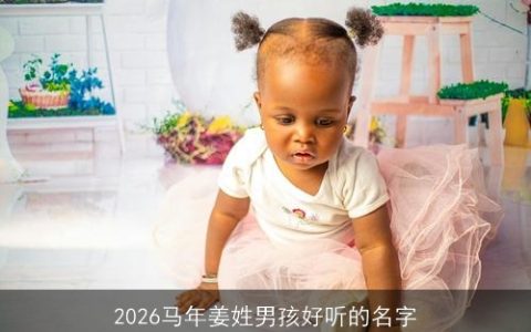 2026马年姜姓男孩好听的名字