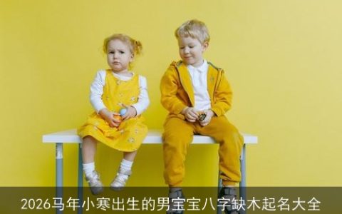 2026马年小寒出生的男宝宝八字缺木起名大全