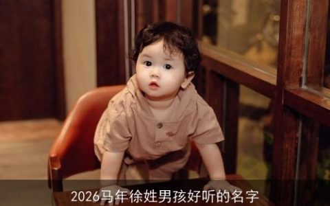 2026马年徐姓男孩好听的名字