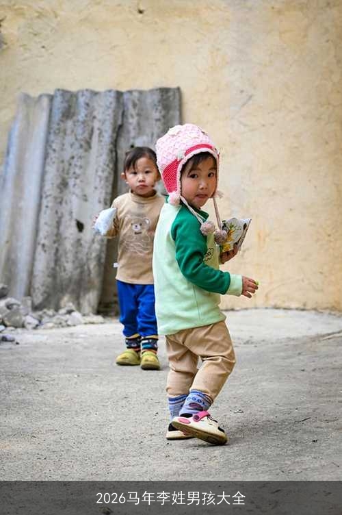 2026马年李姓男孩大全