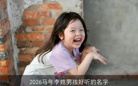 2026马年李姓男孩好听的名字