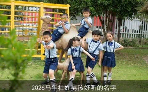 2026马年杜姓男孩好听的名字