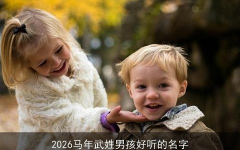 2026马年武姓男孩好听的名字