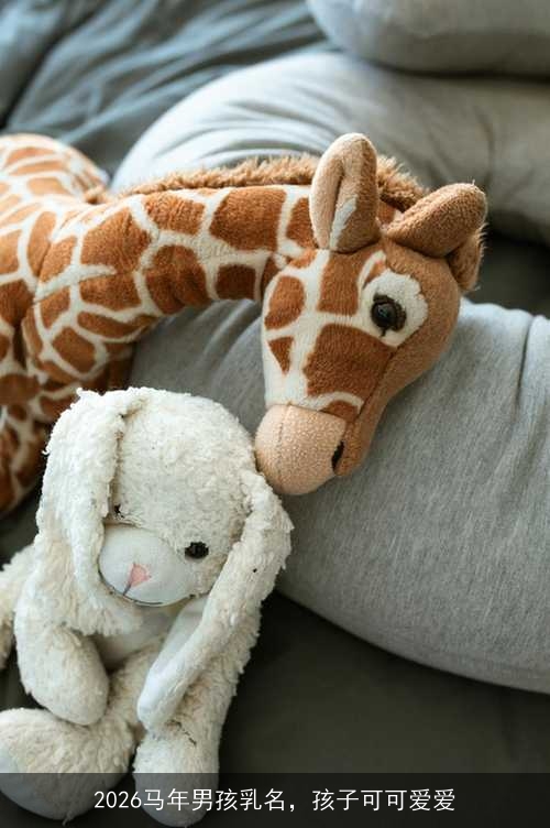 2026马年男孩乳名，孩子可可爱爱