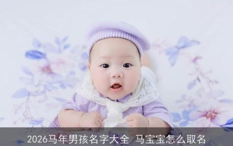 2026马年男孩名字大全 马宝宝怎么取名