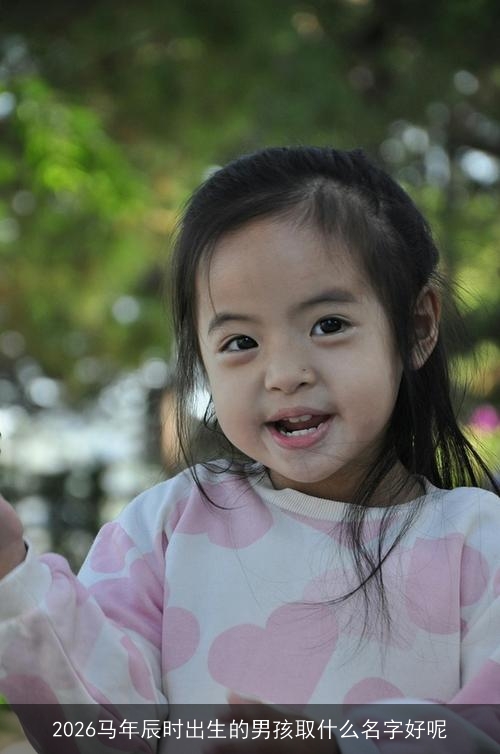 2026马年辰时出生的男孩取什么名字好呢