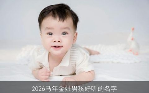 2026马年金姓男孩好听的名字