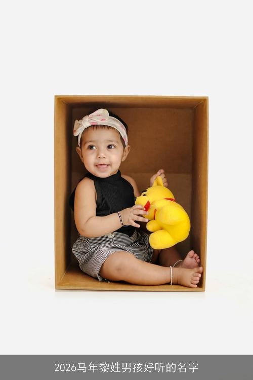 2026马年黎姓男孩好听的名字
