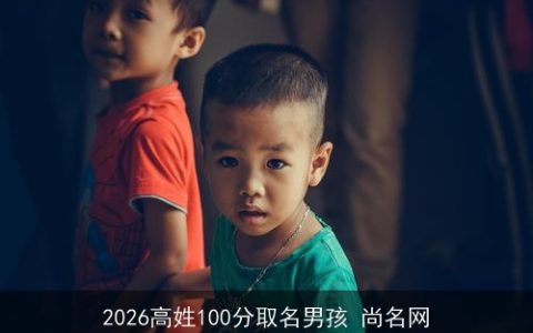 2026高姓100分取名男孩 尚名网