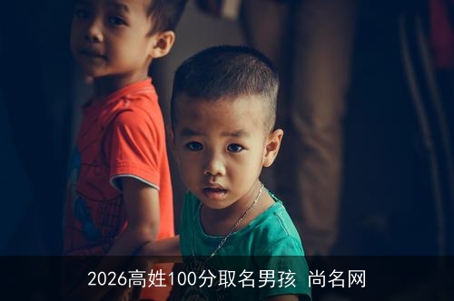 2026高姓100分取名男孩 尚名网