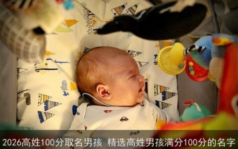 2026高姓100分取名男孩 精选高姓男孩满分100分的名字