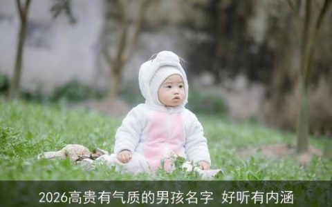 2026高贵有气质的男孩名字 好听有内涵