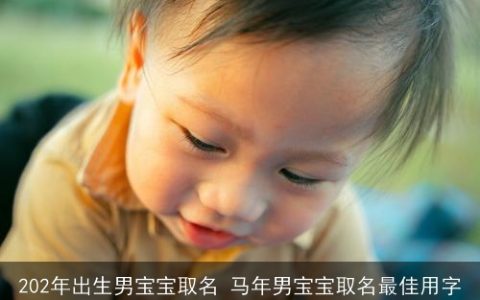202年出生男宝宝取名 马年男宝宝取名最佳用字