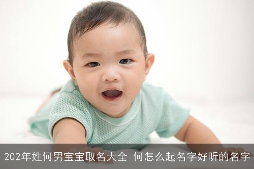 202年姓何男宝宝取名大全 何怎么起名字好听的名字
