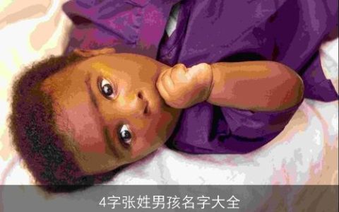 4字张姓男孩名字大全