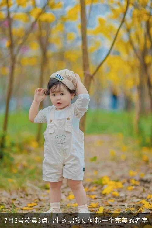 7月3号凌晨3点出生的男孩如何起一个完美的名字