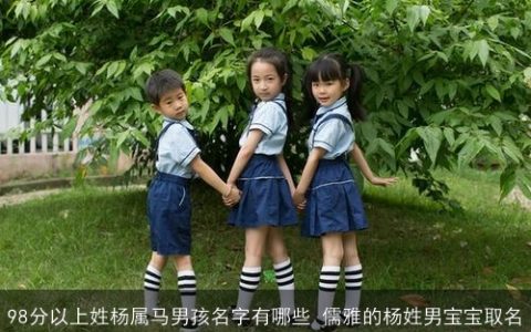 98分以上姓杨属马男孩名字有哪些 儒雅的杨姓男宝宝取名