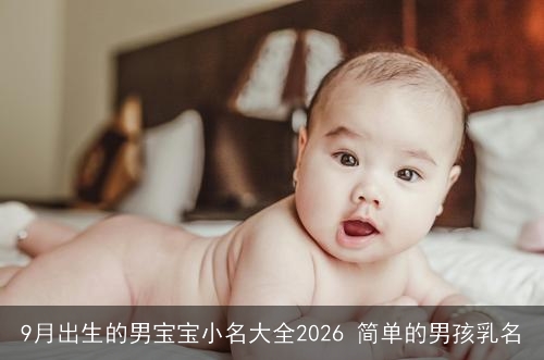 9月出生的男宝宝小名大全2026 简单的男孩乳名