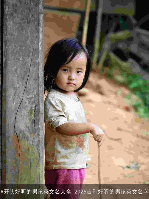 A开头好听的男孩英文名大全 2026吉利好听的男孩英文名字