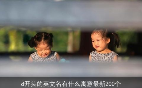 d开头的英文名有什么寓意最新200个