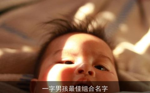 一字男孩最佳组合名字