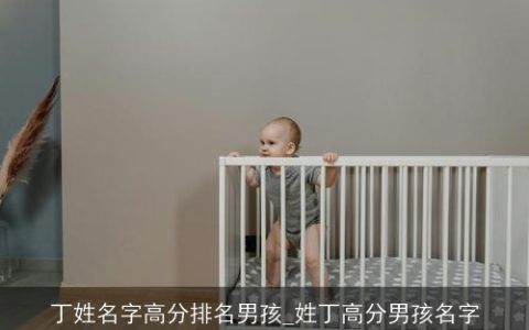 丁姓名字高分排名男孩_姓丁高分男孩名字