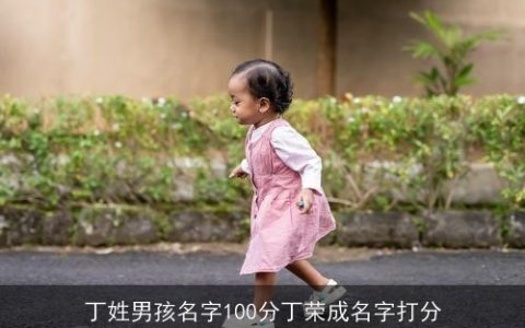 丁姓男孩名字100分丁荣成名字打分