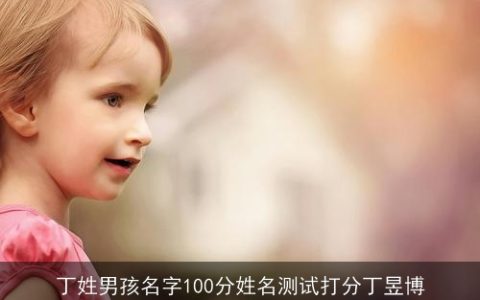 丁姓男孩名字100分姓名测试打分丁昱博