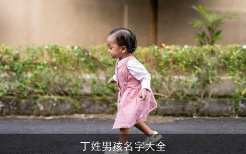 丁姓男孩名字大全