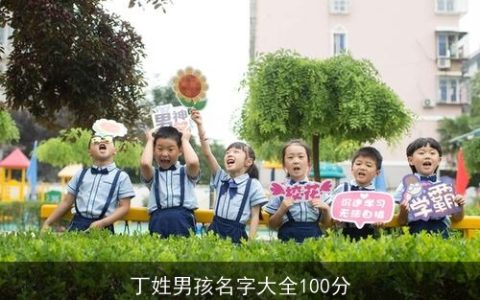 丁姓男孩名字大全100分