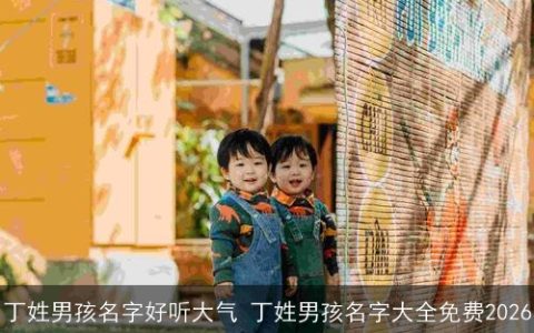 丁姓男孩名字好听大气 丁姓男孩名字大全免费2026