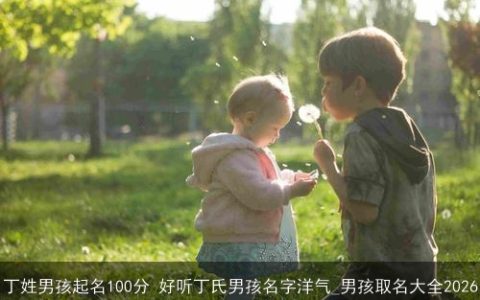 丁姓男孩起名100分 好听丁氏男孩名字洋气_男孩取名大全2026