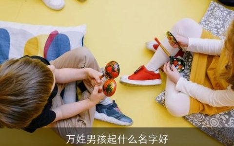 万姓男孩起什么名字好