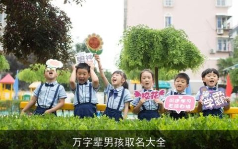 万字辈男孩取名大全