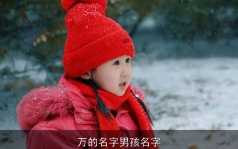万的名字男孩名字