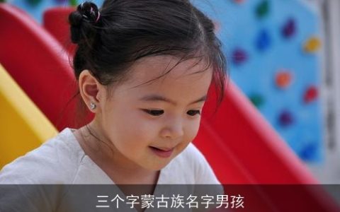 三个字蒙古族名字男孩