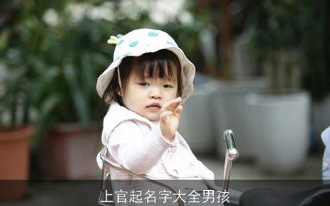 上官起名字大全男孩