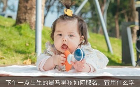 下午一点出生的属马男孩如何取名，宜用什么字