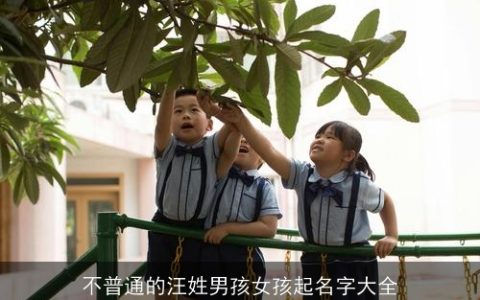 不普通的汪姓男孩女孩起名字大全