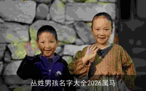 丛姓男孩名字大全2026属马
