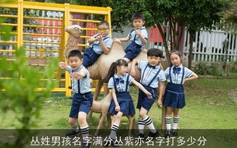 丛姓男孩名字满分丛紫亦名字打多少分