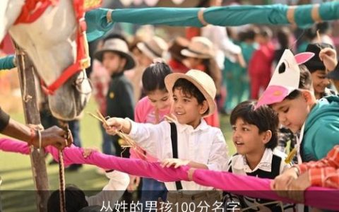 丛姓的男孩100分名字