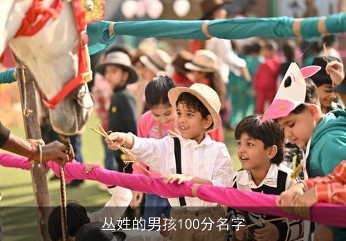 丛姓的男孩100分名字