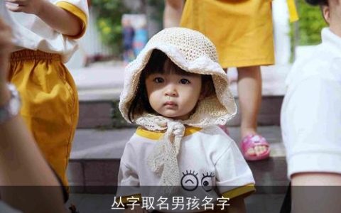 丛字取名男孩名字