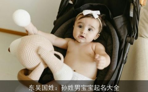 东吴国姓：孙姓男宝宝起名大全