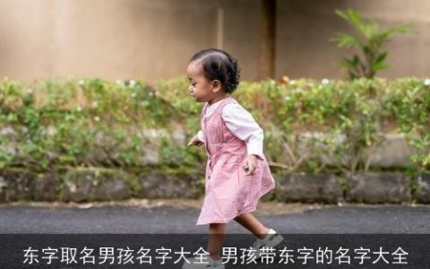 东字取名男孩名字大全 男孩带东字的名字大全