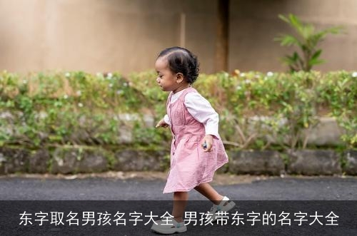 东字取名男孩名字大全 男孩带东字的名字大全